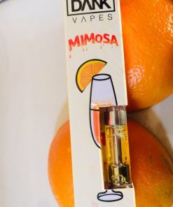 Mimosa
